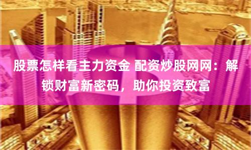 股票怎样看主力资金 配资炒股网网：解锁财富新密码，助你投资致富
