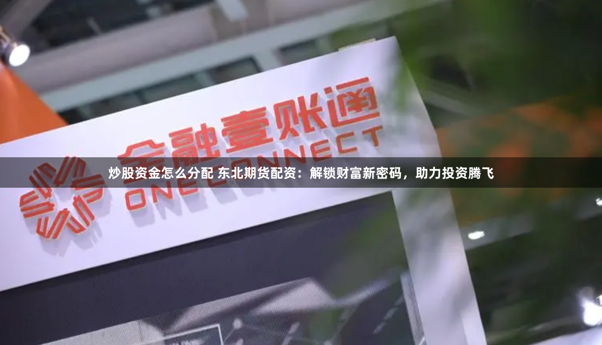 炒股资金怎么分配 东北期货配资:解锁财富新密码,助力投资腾飞