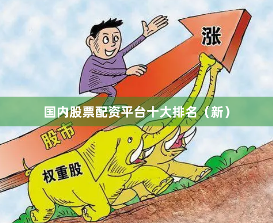 国内股票配资平台十大排名（新）